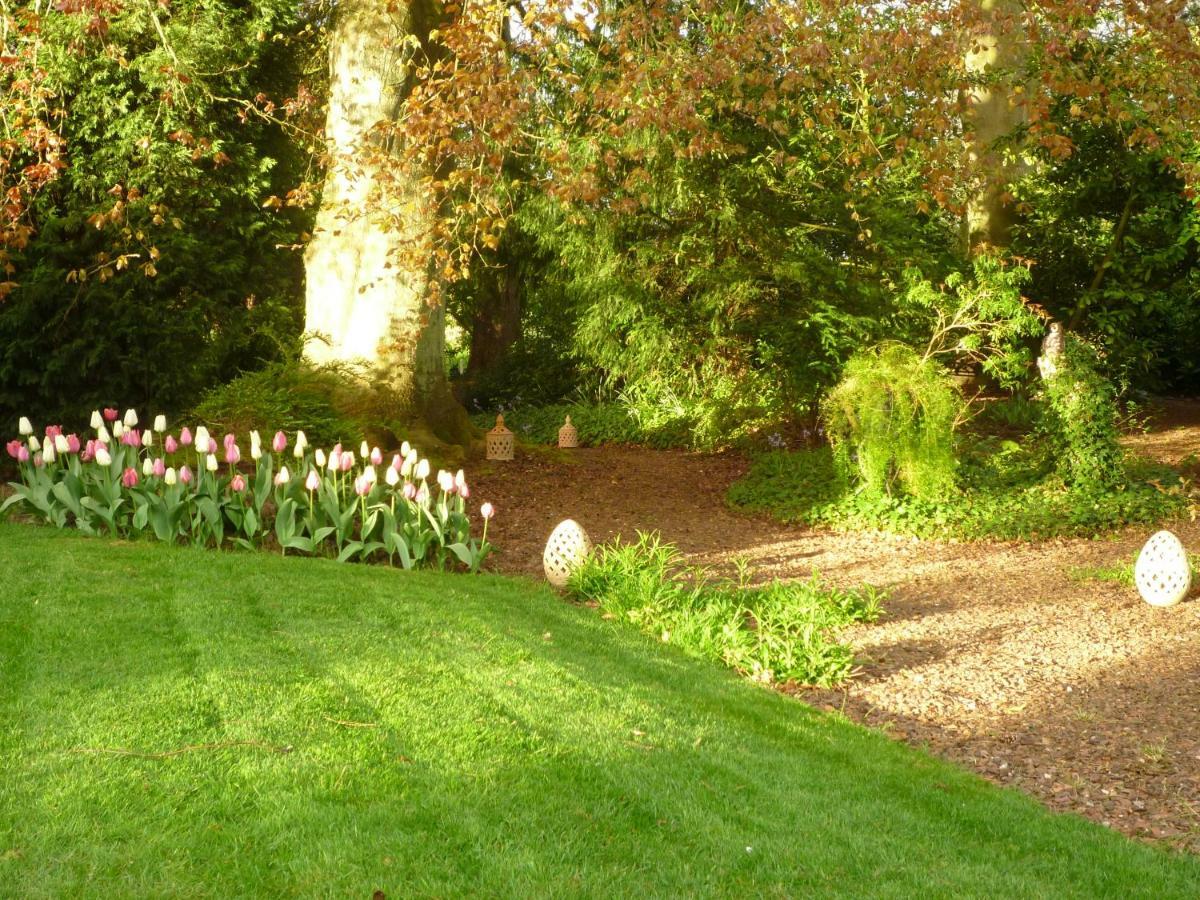 Au Vieux Cedre Bed & Breakfast Mouvaux ภายนอก รูปภาพ